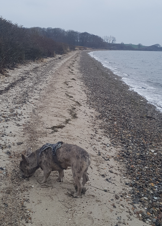 6: Næsten 10 grader 5/12